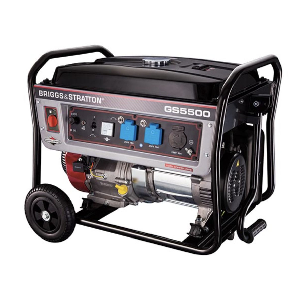 Briggs & Stratton	GS6500